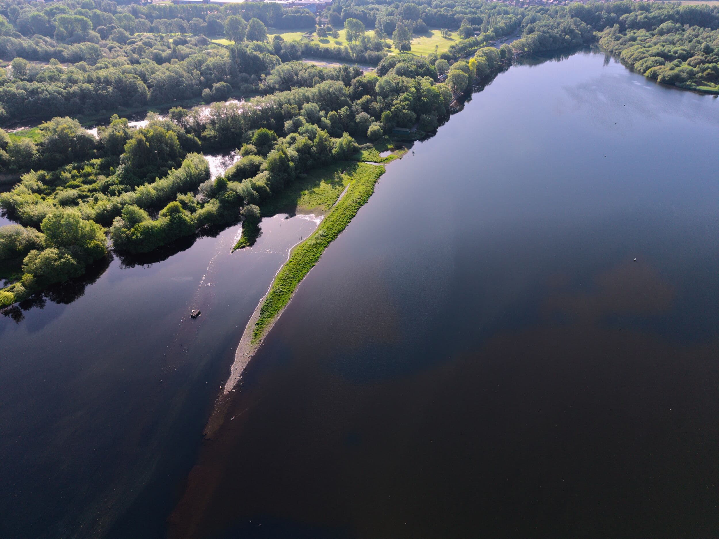 wildlife photography at Pennington Flash Country Park, Greater Manchester (photo 24)