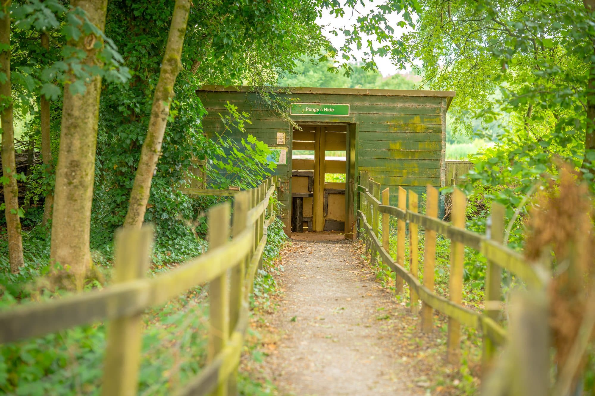 Pengy's Hide at Pennington Flash Country Park, Leigh — a green timber bird hide reached by a fenced woodland path