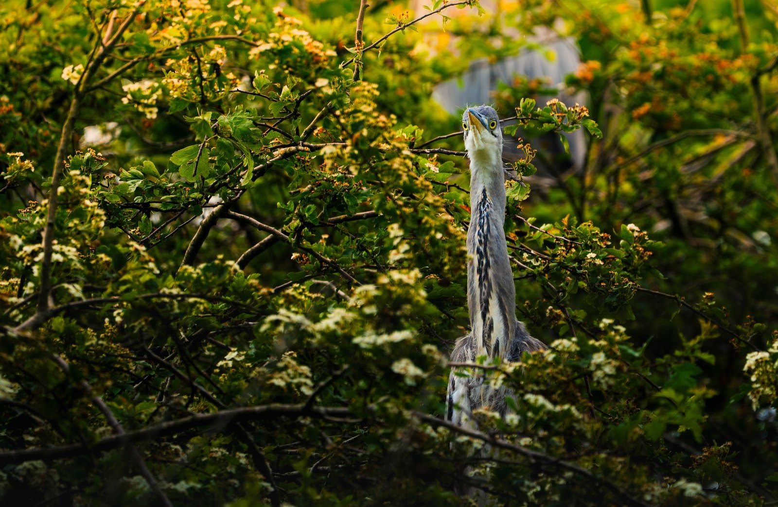 Sony A6700 sample image 7