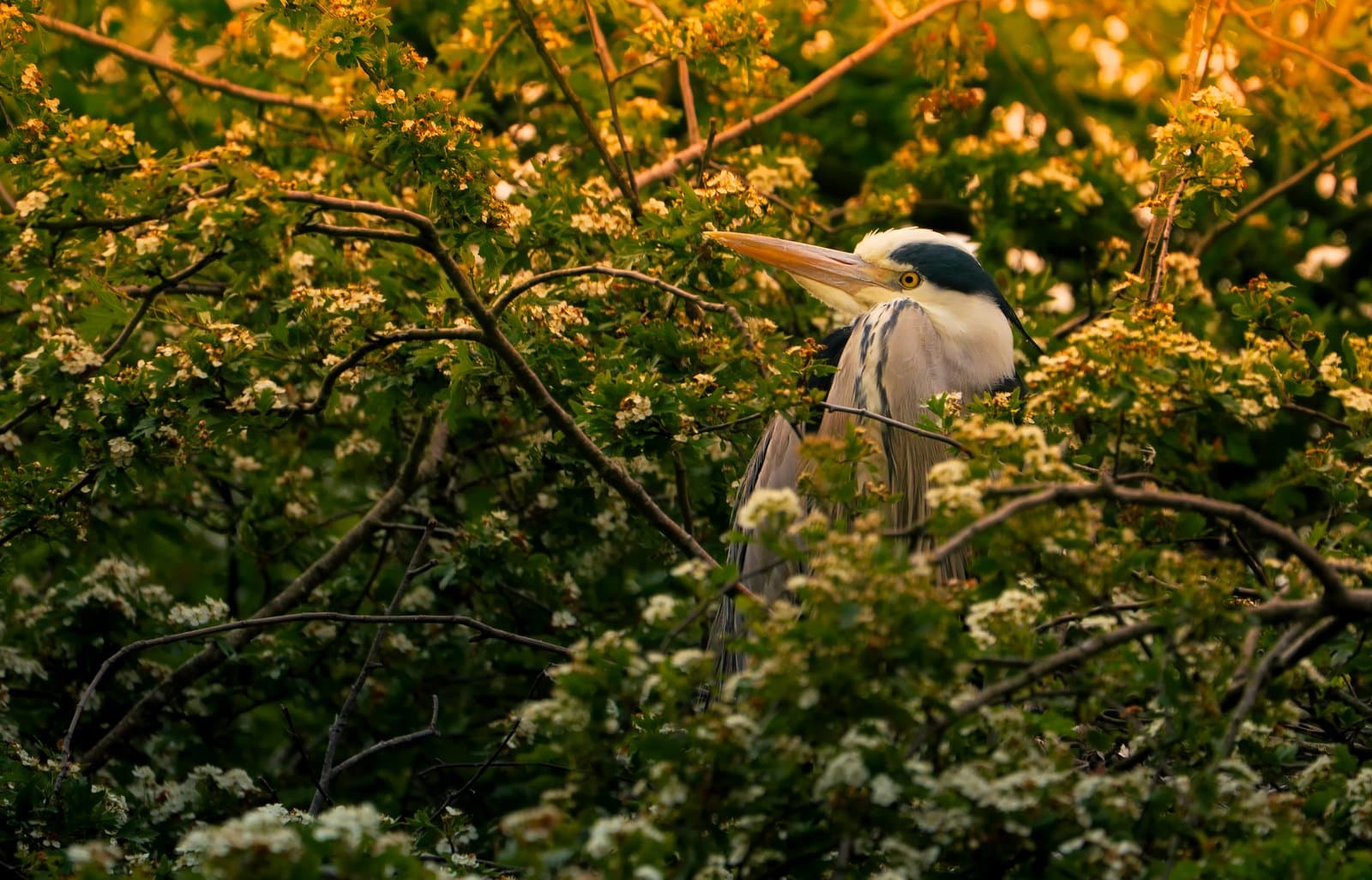 Sony A6700 sample image 6
