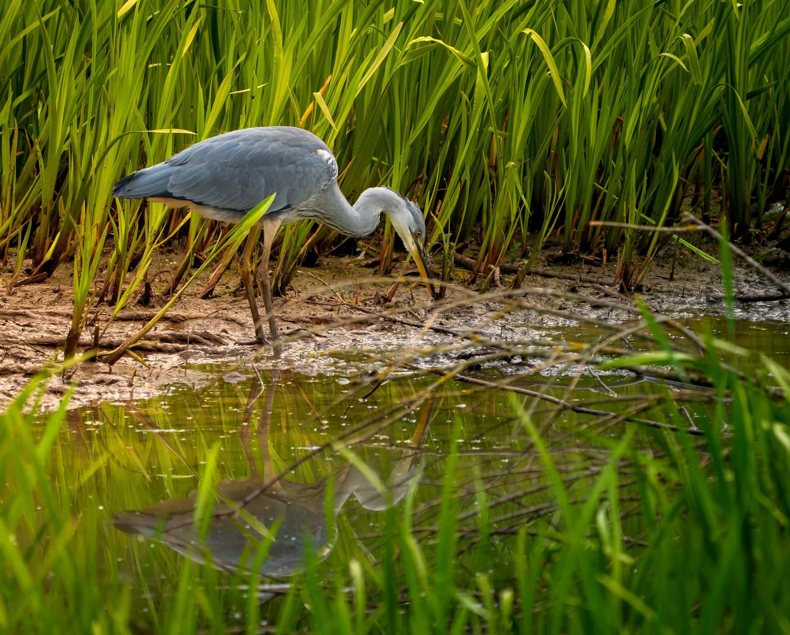 Sony A6700 sample image 4