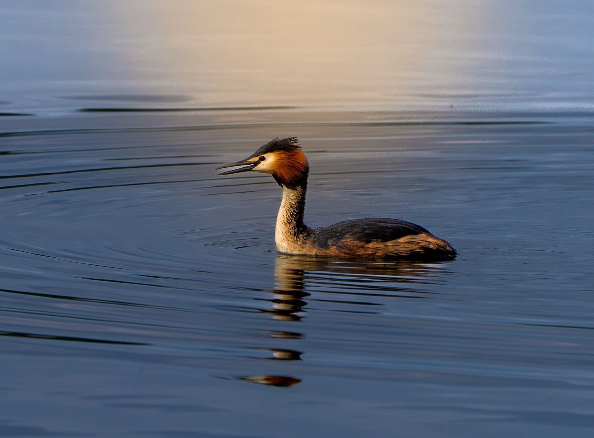 Sony A7R V — image quality sample